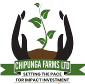 Chipunga Farms LTD